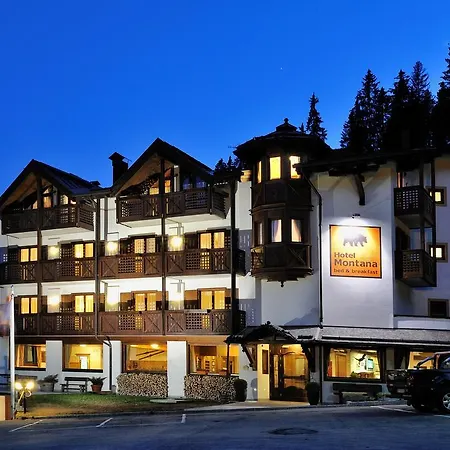 Montana Hotel