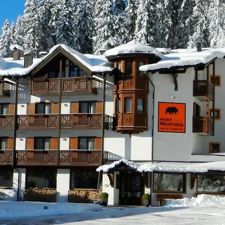 Hotel Montana